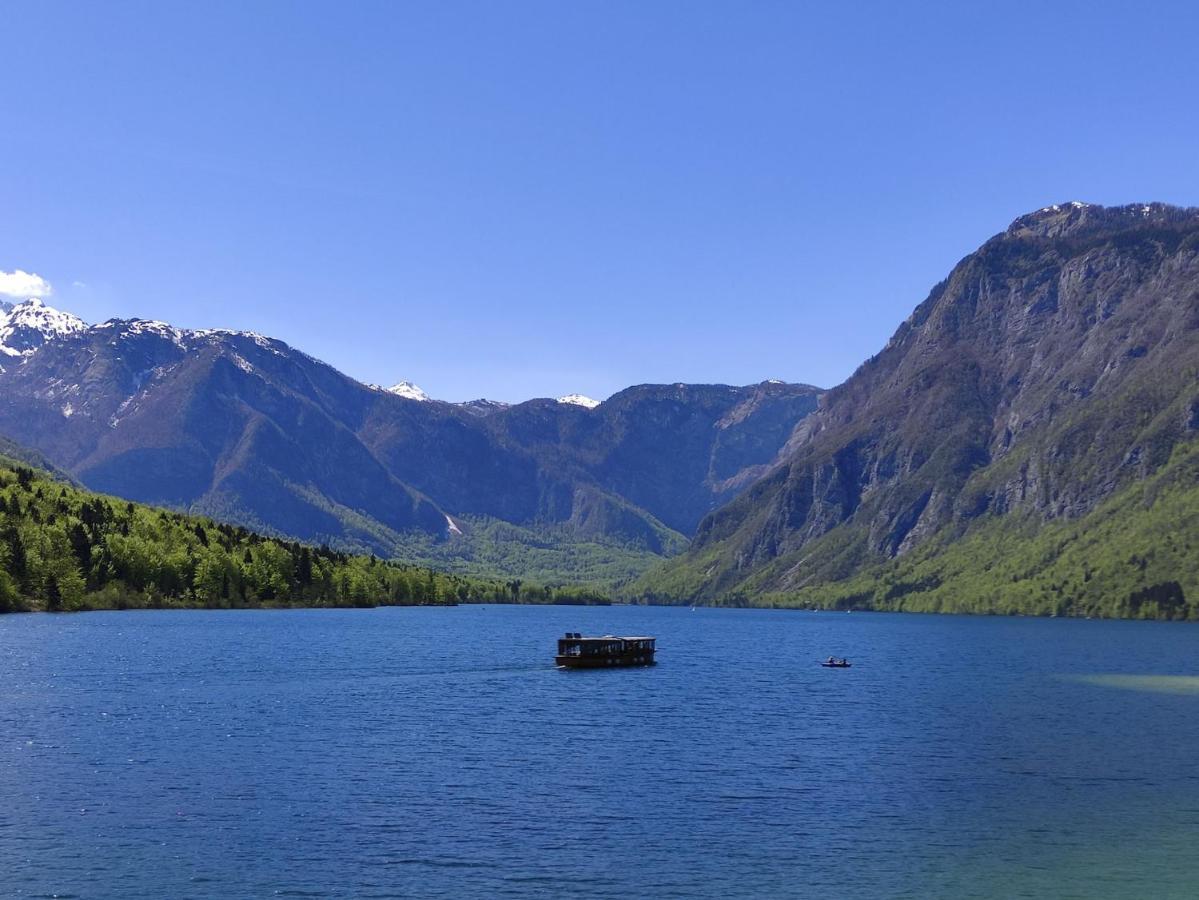 Apartments Bohinjc ภายนอก รูปภาพ